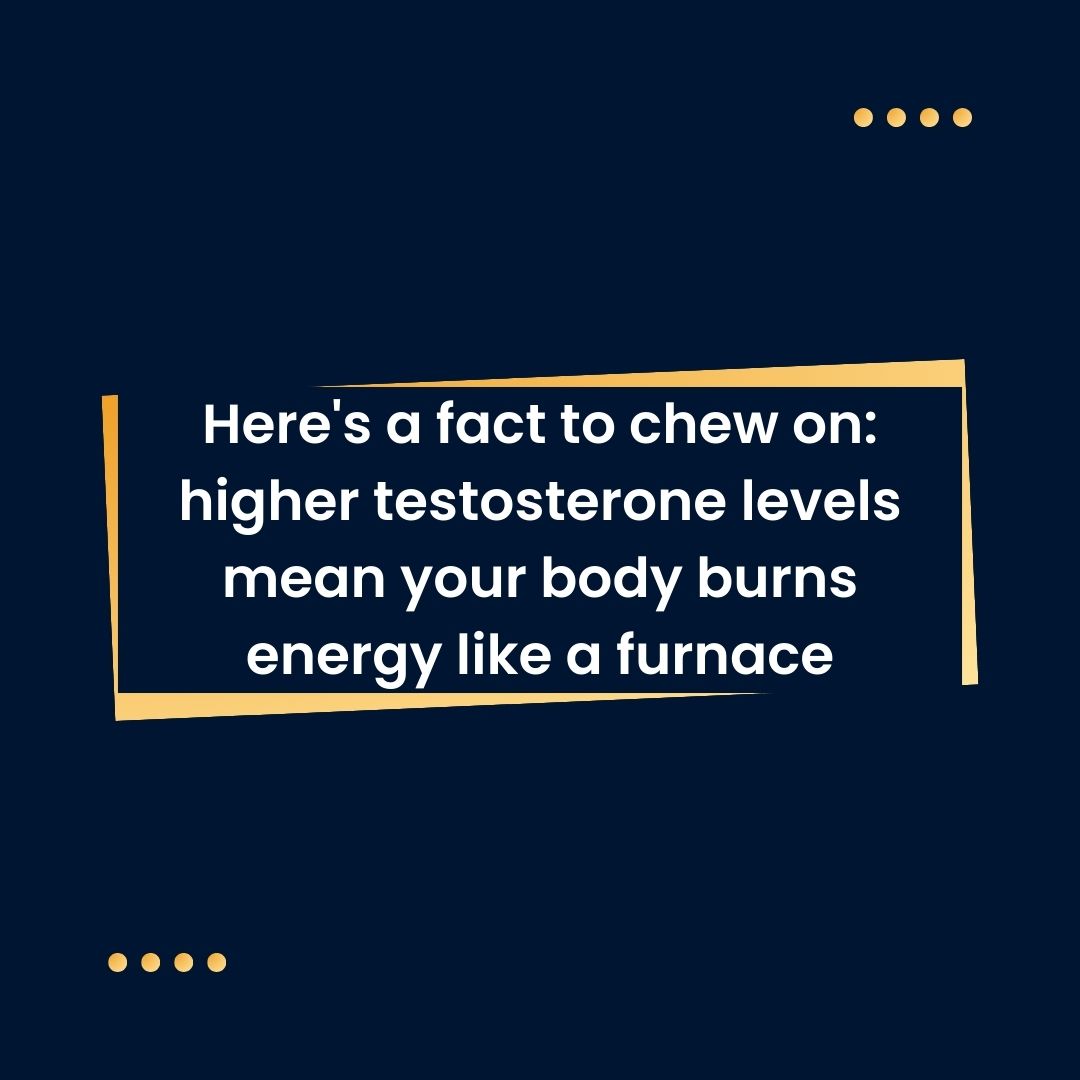Here's a fact to chew on higher testosterone levels mean your body burns energy like a furnace Here's a fact to chew on higher testosterone levels mean your body burns energy like a furnace